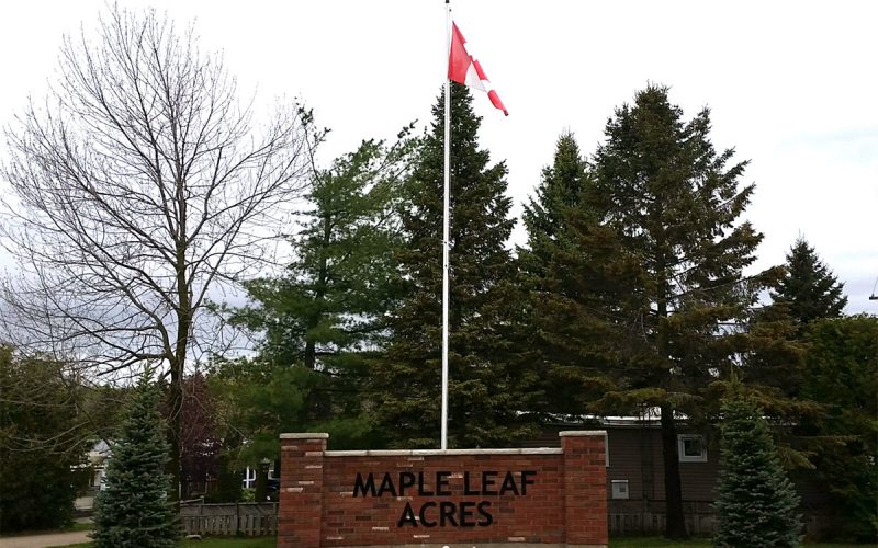 Gallery Maple Leaf Acres